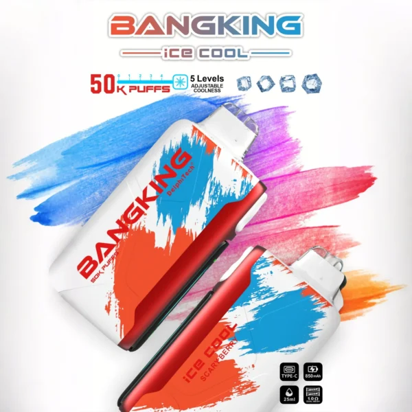 Bang-King-Ice-Cool-60000-Puffs-scary-berrry.webp