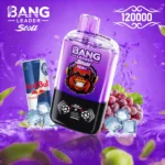 Bang Leader Stoll 120K Puffs – 2-u-1 Disposable Vape s LED ekranom - Slika 8