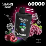 Bang Stoll 60K Puffs Disposable Vape – Dual Flavor 60000 Puff, punjivi 2-u-1 uređaj za veleprodaju - Slika 8