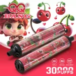 QQ-BANG-30000-Puffs-DSK083-30K-Rechargeable-Disposable-Vapes-55